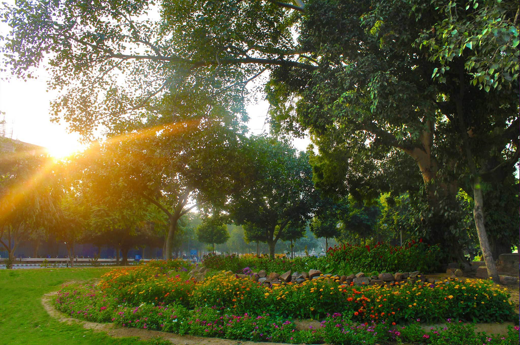 Campus garden at sunrise