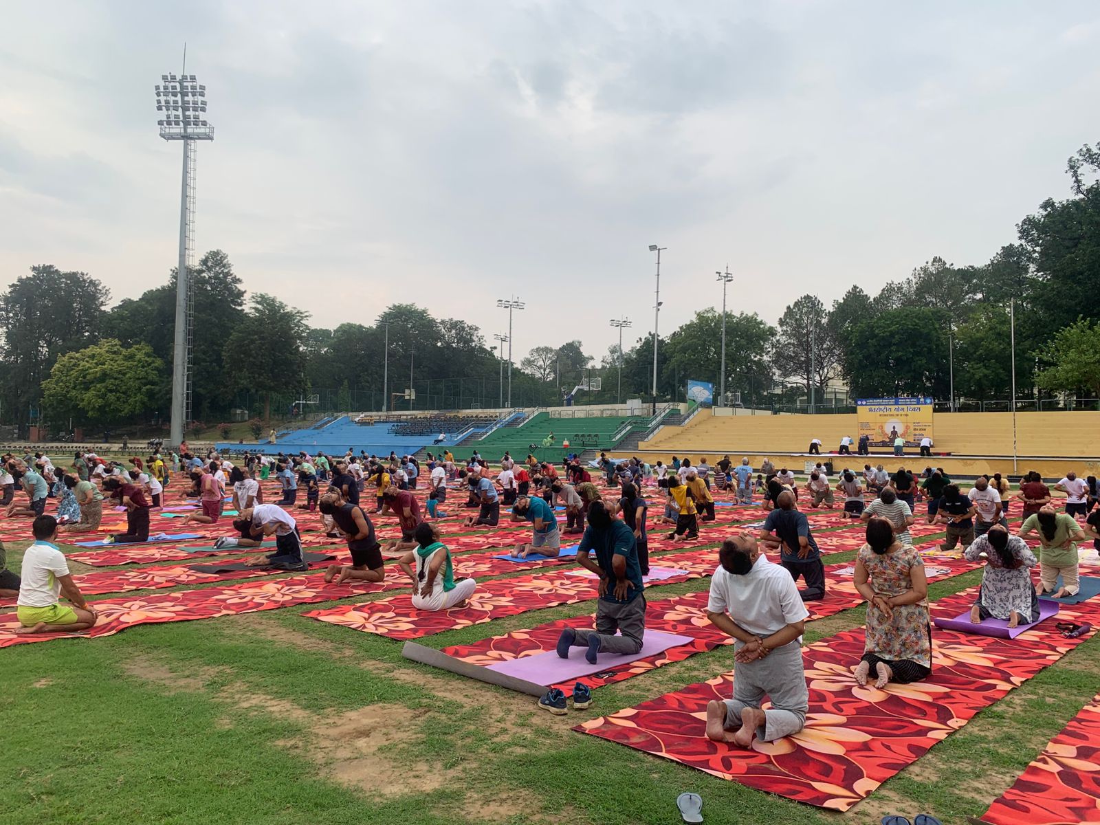 Yoga Day on the sports ground